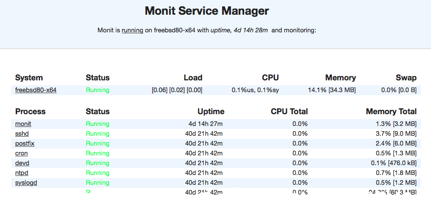 monit program service check